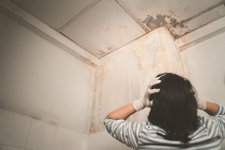 woman with hands on her head in concern after seeing water damage in home, Auburn Hills water damage restoration