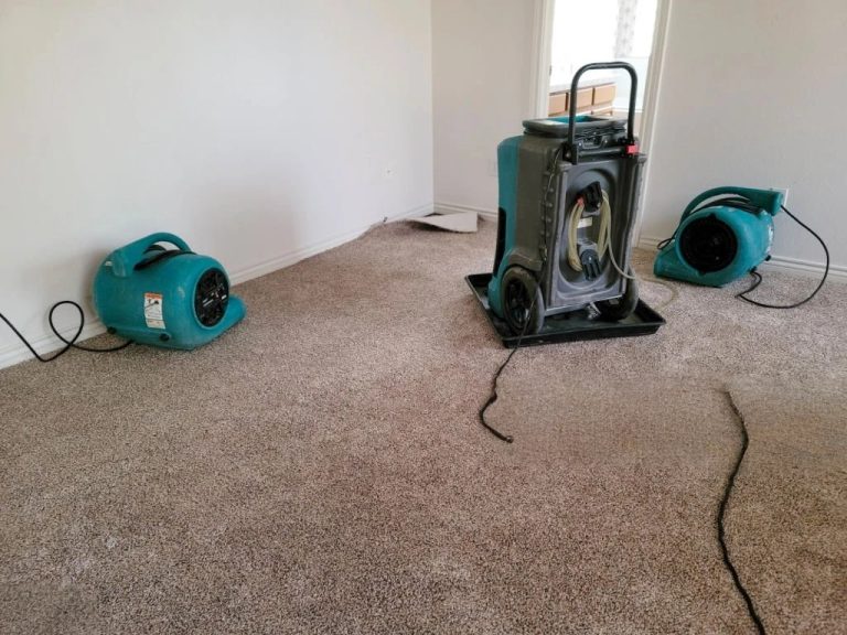 Professional Water Damage Cleanup
